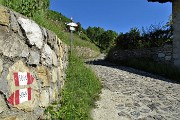 Al Pizzo Grande e al Monte Molinasco da Alino di S. Pellegrino il 25 maggio 2020-FOTOGALLERY